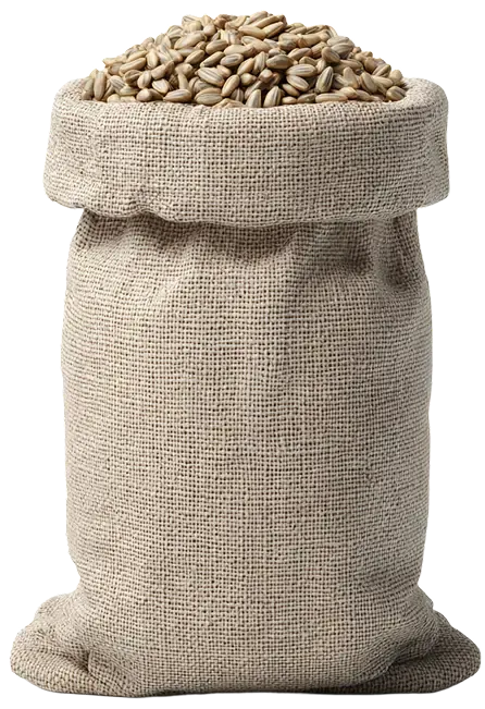 slider-img-sunflower-seed